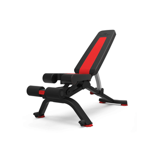 BOWFLEX Banco SelectTech 5.1S - Twisted Media